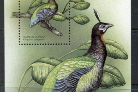 Central-African-Republic-2000-Birds-1500f-MS-MUH