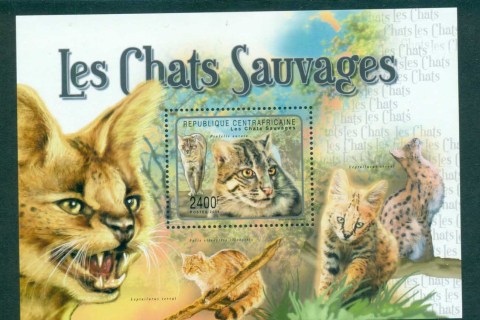 Central-African-Republic-2011-African-Wildlife