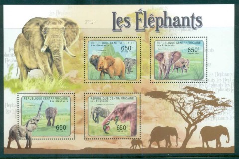 Central-African-Republic-2011-African-Wildlife_2