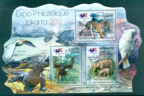 Central-African-Republic-2011-African-Wildlife_3