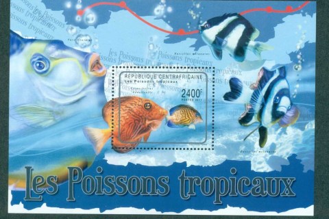 Central-African-Republic-2011-Fish