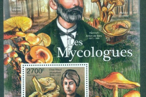 Central-African-Republic-2011-Funghi