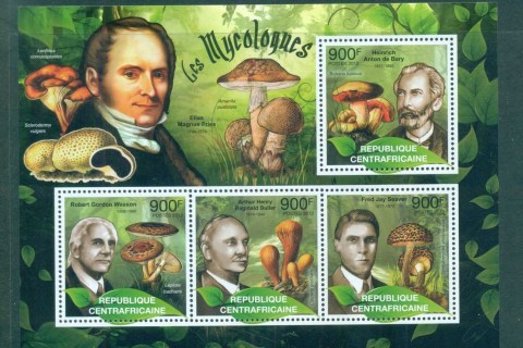 Central-African-Republic-2011-Funghi_1