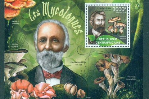 Central-African-Republic-2011-Funghi_2