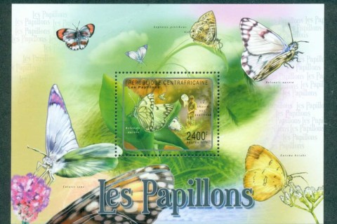 Central-African-Republic-2011-Insects