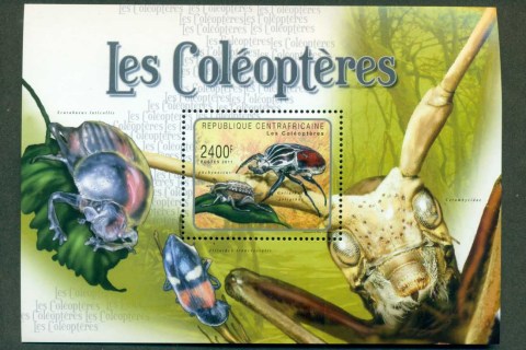 Central-African-Republic-2011-Insects_1