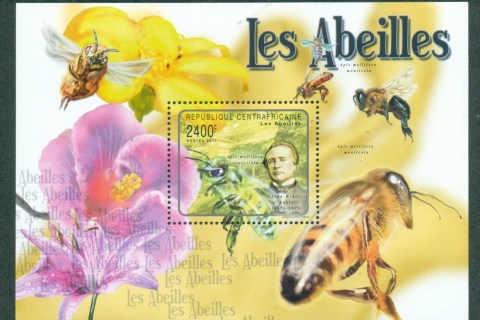 Central-African-Republic-2011-Insects_2