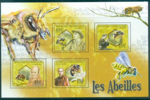 Central-African-Republic-2011-Insects_3