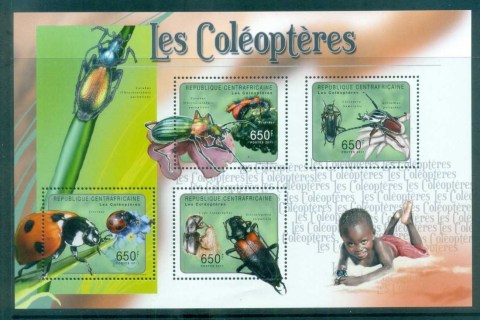 Central-African-Republic-2011-Insects_6