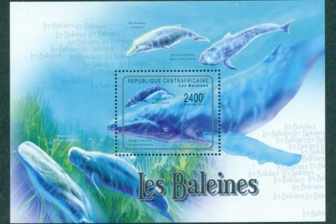 Central-African-Republic-2011-Marine-Life