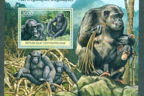 Central-African-Republic-2011-Wildlife_2