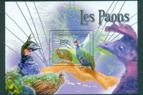 Central-African-Republic-2012-Birds_1