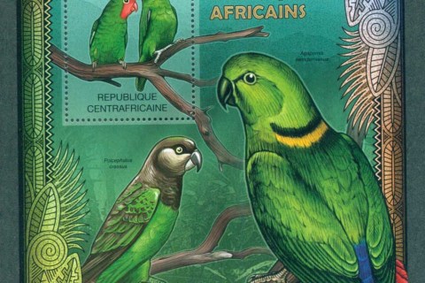 Central-African-Republic-2012-Birds_3