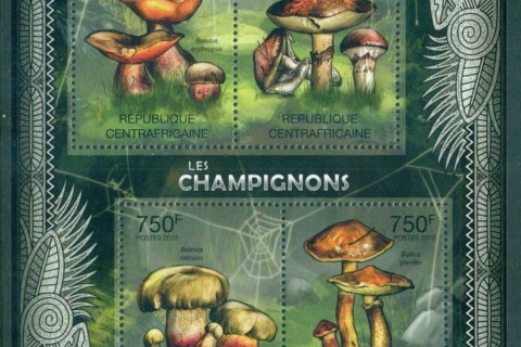 Central-African-Republic-2012-Funghi