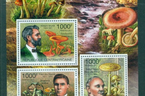 Central-African-Republic-2012-Funghi_1