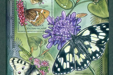 Central-African-Republic-2012-Insects_1