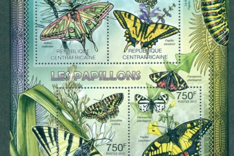 Central-African-Republic-2012-Insects_2