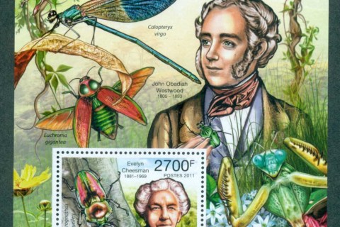 Central-African-Republic-2012-Insects_3