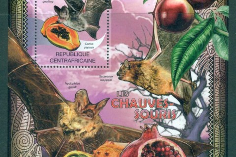 Central-African-Republic-2012-Wildlife_2