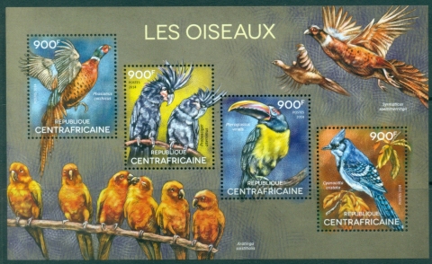 Central-African-Republic-Birds-MS-MUH
