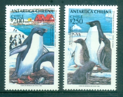 Chile-1983-Birds