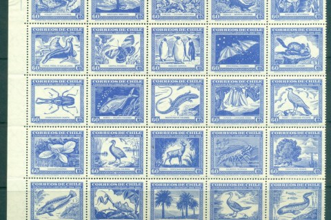 Chile-1948-Wildlife