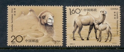 China-PRC-1993-Wild-Camel-MUH