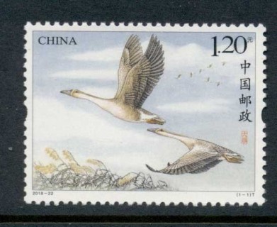 China-PRC-2018-Birds