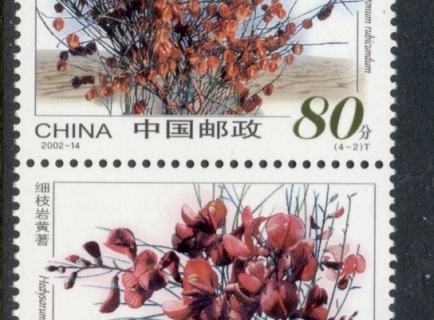 China-PRC-2002-Plants-in-desert