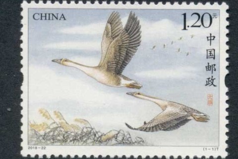 China-PRC-2018-Birds