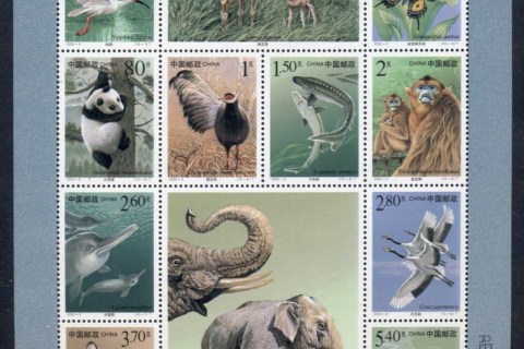 China-PRC-Wildlife-MS-MUH panda