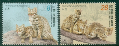 China-ROC-Taiwan-2022-Fauna-Leopard-Cat-Prionailurus-bengalensis