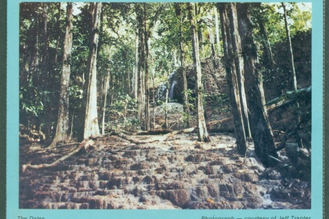 Christmas-Is-1981-Stamp-Issues-Stamp-Pack-POP-lotxl70803