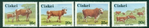 Ciskei-1987-Nkone-Cattle-MUH