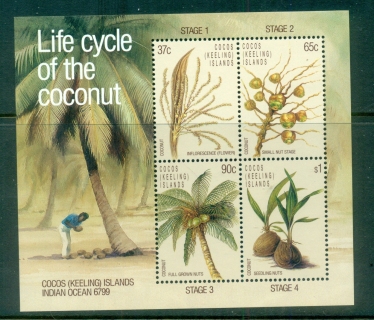 Cocos-Keeling-Is-1988-Life-Cycle-of-the-Coconut-MS-MLH