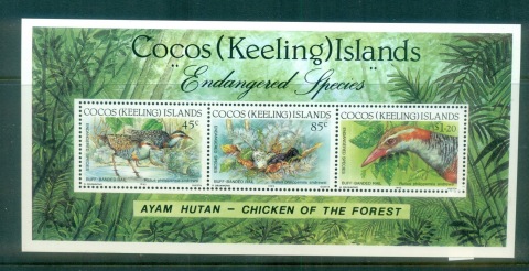 Cocos-Keeling-Is-1992-WWF-Buff-Banded-Rail-MS-MUH