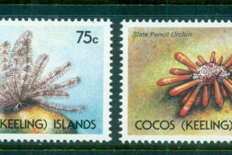Cocos-Keeling-Is-1991-Marine-Life