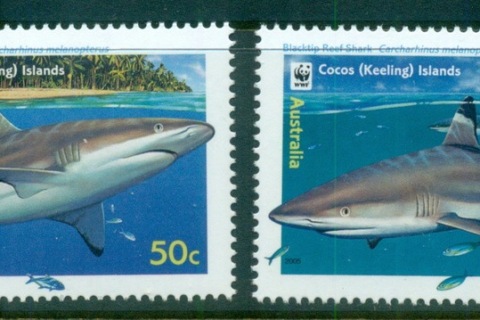 Cocos-Keeling-Is-2005-WWF-Marine-Life-Grey-Reef-Shark-MLH