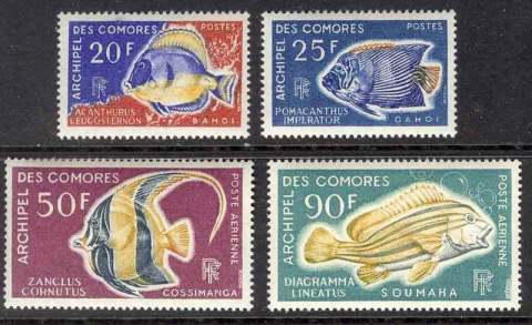 Comoro Is 1968 Fish