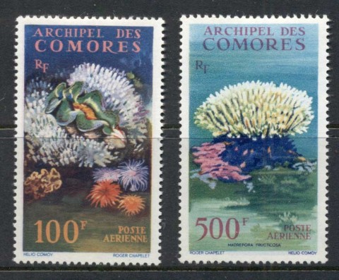 Comoro Is 1962 Marine Life, Corals