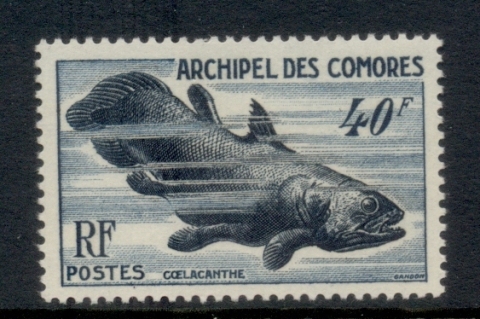 Comoro Is 1952-54 Fish, 40f Coelecanth