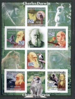 Comoro-Is-2009-Charles-Darwin_2