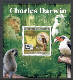 Comoro-Is-2009-Charles-Darwin_3