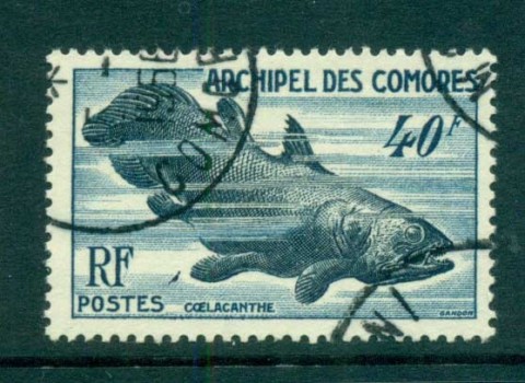 Comoro Is 1954 Coelecanth