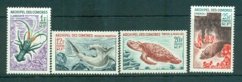 Comoro Is 1965 marine Life