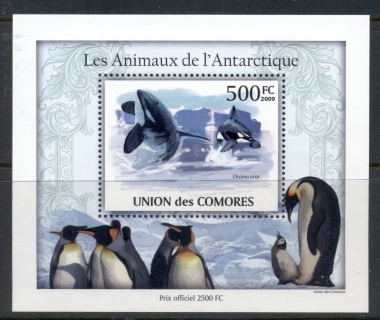 Comoro-Is-2009-Animals-of-the-Antarctic