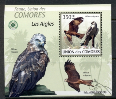 Comoro-Is-2009-Birds-of-Prey