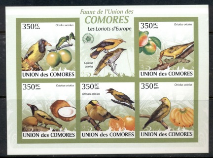 Comoro-Is-2009-Birds-of-Prey_4