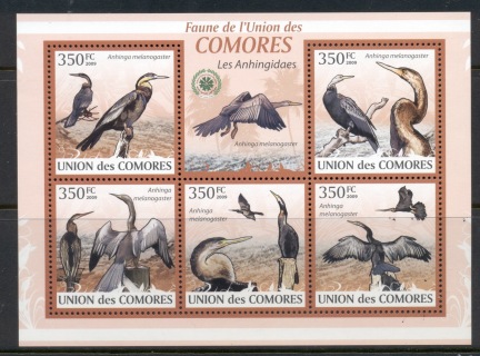 Comoro-Is-2009-Birds_10