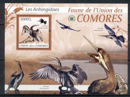 Comoro-Is-2009-Birds_11